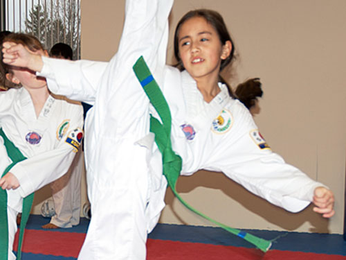 Taekwondo Rochester